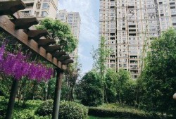 世纪滨江吃瓜,一场热闹非凡的吃瓜盛宴