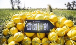 抖音奶片吃瓜资源,揭秘热门话题背后的甜蜜秘密