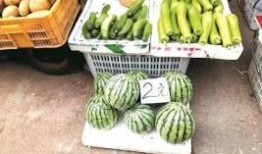 豆瓣吃瓜自由地,揭秘热门话题背后的真相与笑料