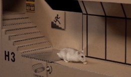 仓鼠管不管吃瓜,管不管吃瓜，营养均衡是关键