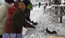 抱着火炉吃瓜,一场别开生面的夏日盛宴