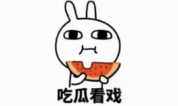 吃瓜散会,揭秘娱乐圈幕后故事