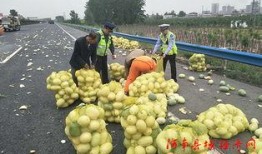 江川吃瓜群众,揭秘网络热议背后的真相与笑料