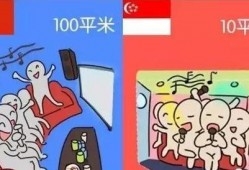 吃瓜加两字,揭秘娱乐圈风云