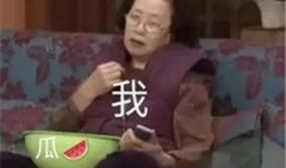 吃瓜语录合集,揭秘网络热议背后的趣味与真相
