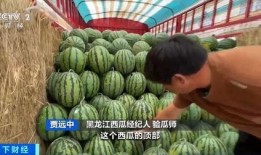 吃瓜今日瓜热门瓜,吃瓜群众聚焦娱乐圈最新热点事件