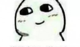 饭圈吃瓜组,揭秘明星幕后故事与粉丝狂欢背后的真相