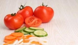 吃瓜大料番茄小说,番茄小说中的神秘世界