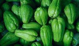 福建长乐游神吃瓜,一场别开生面的吃瓜文化体验