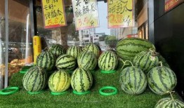 吃货吃无籽麒麟瓜,吃货们的夏日美味新宠