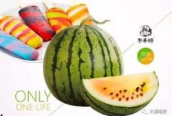 吃玲珑瓜冰激淋,玲珑瓜冰激淋，尽享清新口感之旅