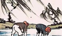 骑驴吃瓜看剧本,剧本中的生活百态