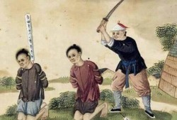 骑驴吃瓜看剧本,剧本中的生活百态