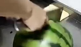 瓜苦吃坏肚子了