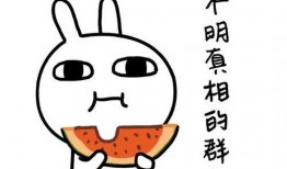 吃瓜同义词,揭秘“吃瓜群众”背后的趣味与真相