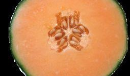 月经来可不可以吃哈密瓜