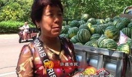 勇武吃瓜群众,揭秘网络舆论场的风云变幻