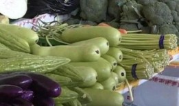 谚语吊葫芦吃瓜,智慧与收获的寓言