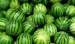 吃瓜wx群广州,揭秘城市生活百态