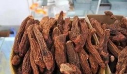 瓜州锁阳怎么吃,古老食材的现代食法探索