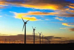 来瓜州当个吃瓜群众的人,一位吃瓜群众的观瓜记