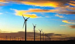 来瓜州当个吃瓜群众的人,一位吃瓜群众的观瓜记