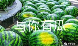 大学吃瓜图,揭秘大学吃瓜图背后的故事