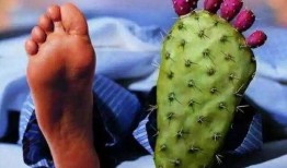 痛风可以吃白瓜,白瓜助力健康饮食