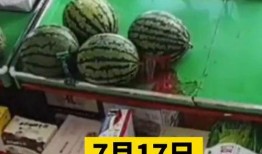 吃瓜沈阳,吃瓜群众眼中的城市风云录