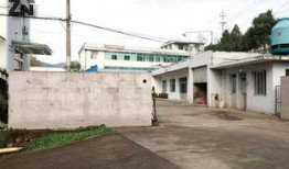 福莱特厂区吃瓜,夏日吃瓜盛况，见证职工欢乐时光