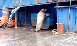 渔民上岸吃瓜,竟意外发现瓜中乾坤！