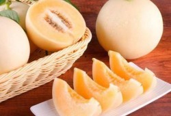 孕妇可以吃浙江白脆蜜瓜,浙江白脆蜜瓜，营养美味两不误