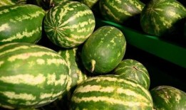 南京古茗事件吃瓜,一场奶茶店的“甜蜜”风波揭秘