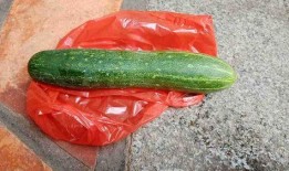 生瓜小孩可以吃吗,安全与适宜性分析