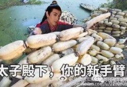 断臂人吃瓜,断臂奇人瓜田奇遇记