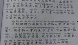吃瓜150字日记,揭秘娱乐圈幕后故事