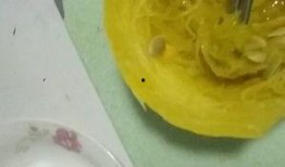 金丝角瓜怎样吃,探索美味与营养的完美融合