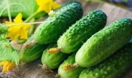 冬至吃红瓜和什么