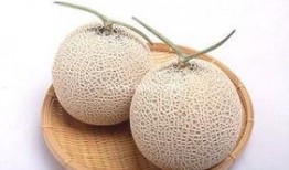 月经来可不可以吃哈密瓜