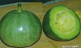 绿皮田瓜怎么吃,解锁田园美味新体验