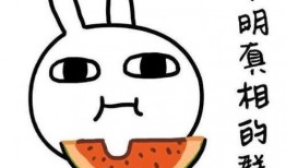 带你吃瓜之倒放,倒放视角下的趣味解读