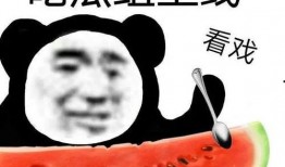 女子吃瓜表白,女子吃瓜中的浪漫邂逅