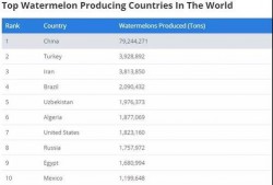 吃瓜最强软件,带你领略网络舆论新风向
