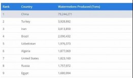 吃瓜最强软件,带你领略网络舆论新风向