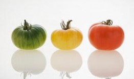 糖尿病吃茄瓜三,茄瓜三成，健康生活从“蔬”开始