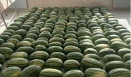 吕梁吃瓜新闻,揭秘当地热点事件背后的真相