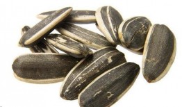 吃瓜子的瓜野生,揭秘吃瓜子的瓜背后的神秘故事