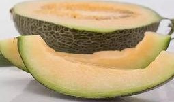 瓜弟基地吃瓜,共享甜蜜，畅享夏日盛宴