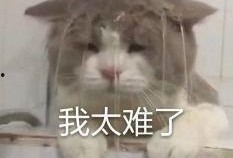 内娱吃瓜名字,揭秘娱乐圈背后的那些事儿