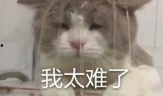 内娱吃瓜名字,揭秘娱乐圈背后的那些事儿